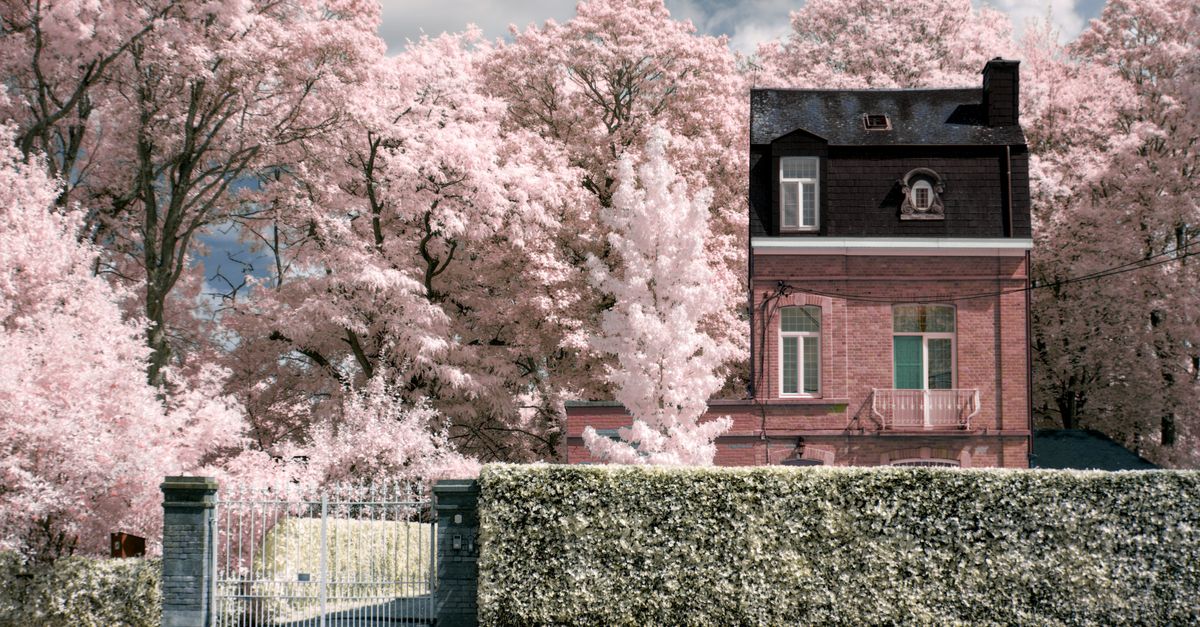 Homes In Spring A House in Spring · Free Stock Photo