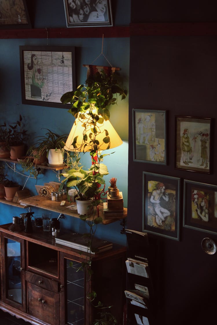 An Interior With Potted Plants And Pictures In Frames