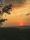 sunset view