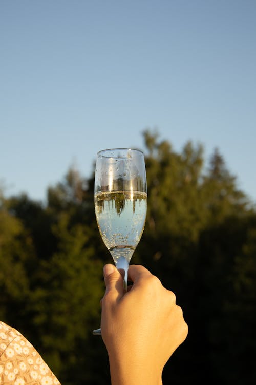 Kostenloses Stock Foto zu alkohol, champagner, getränk