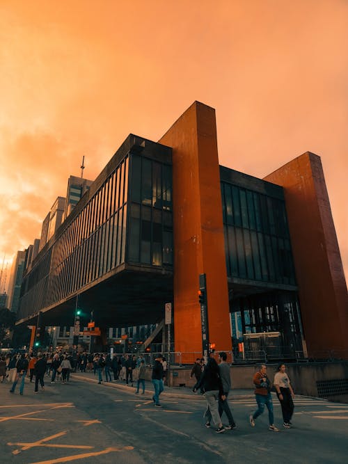 Základová fotografie zdarma na téma architektura, muzeum umění, Sao Paolo