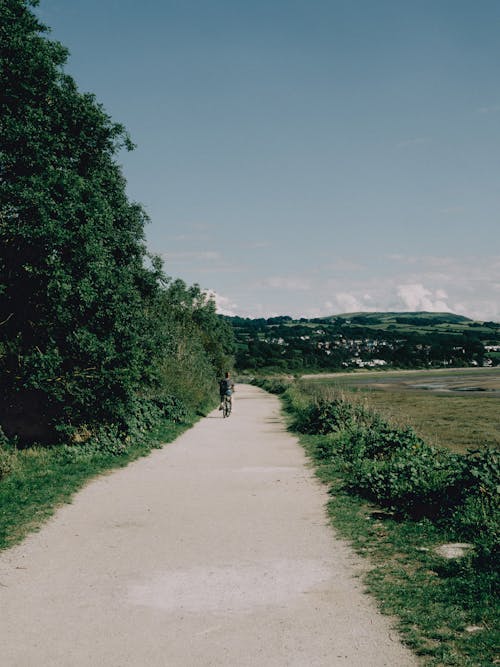 Бесплатное стоковое фото с велосипедист, вертикальный выстрел, голубое небо