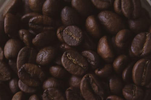 咖啡, 咖啡豆, 新鮮 的 免费素材图片