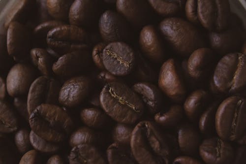 Close up of Coffee Beans