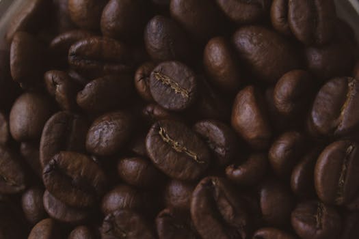 High-quality close-up image of fresh brown coffee beans showcasing texture and color.