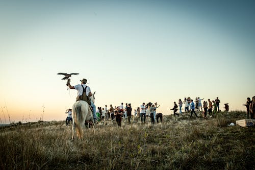 Fotobanka s bezplatnými fotkami na tému Copy Space, dav ľudí, dravec