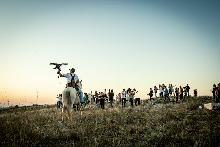 Audience Watching A Horse Rider Launching A Trained Bird