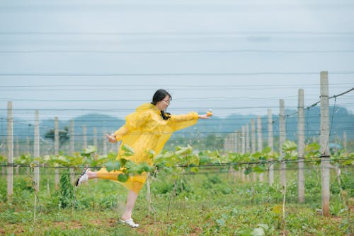 검은 머리, 노랑색 비옷, 농업의 무료 스톡 사진