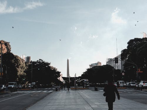 公園, 城市, 布宜諾斯艾利斯 的 免費圖庫相片