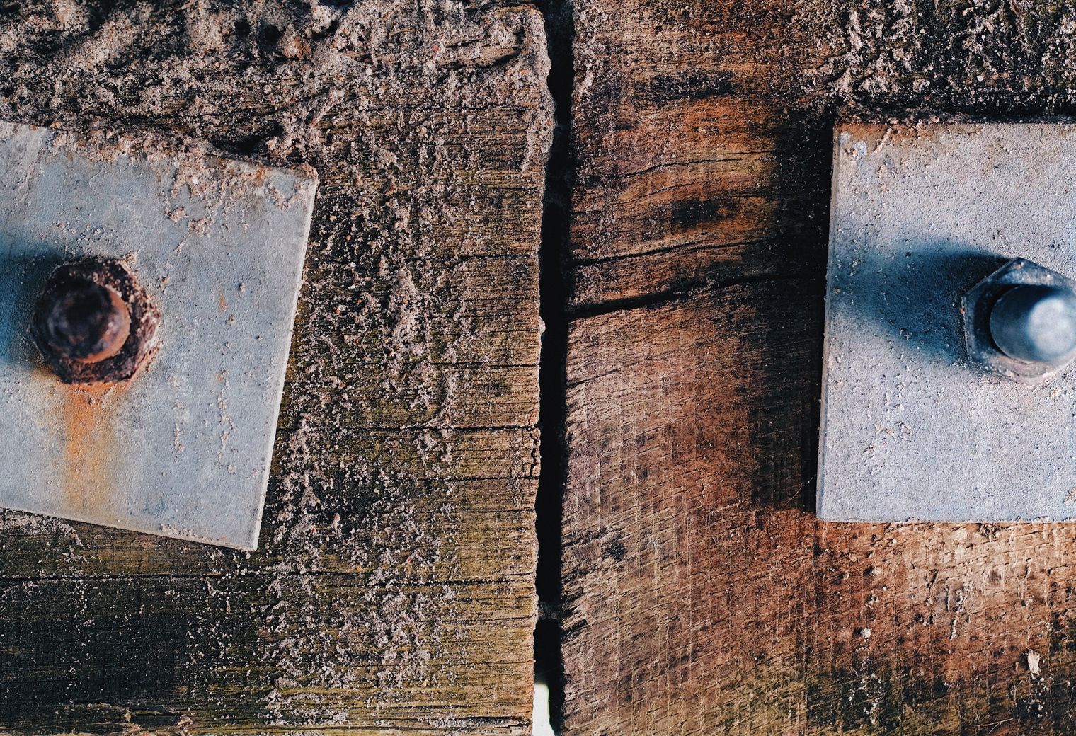 Fence and Decking Painting in Upper Norwood — walls rolled to an even, flat finish