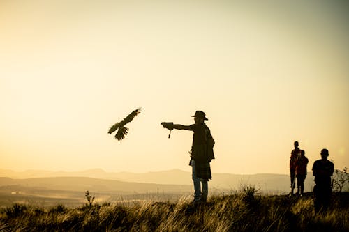 Man with Predator Bird on Grassland