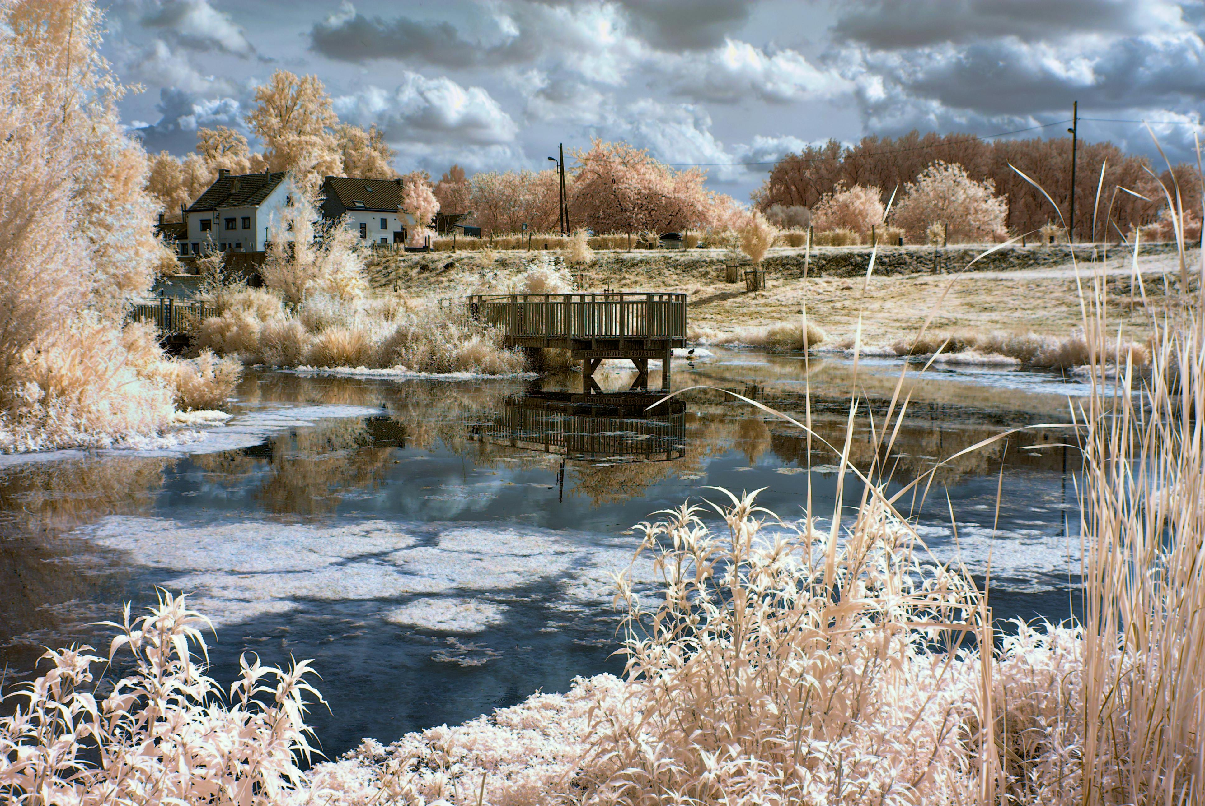 Tranquil rural landscape featuring a reflective pond and a wooden pier under a cloudy fall sky.