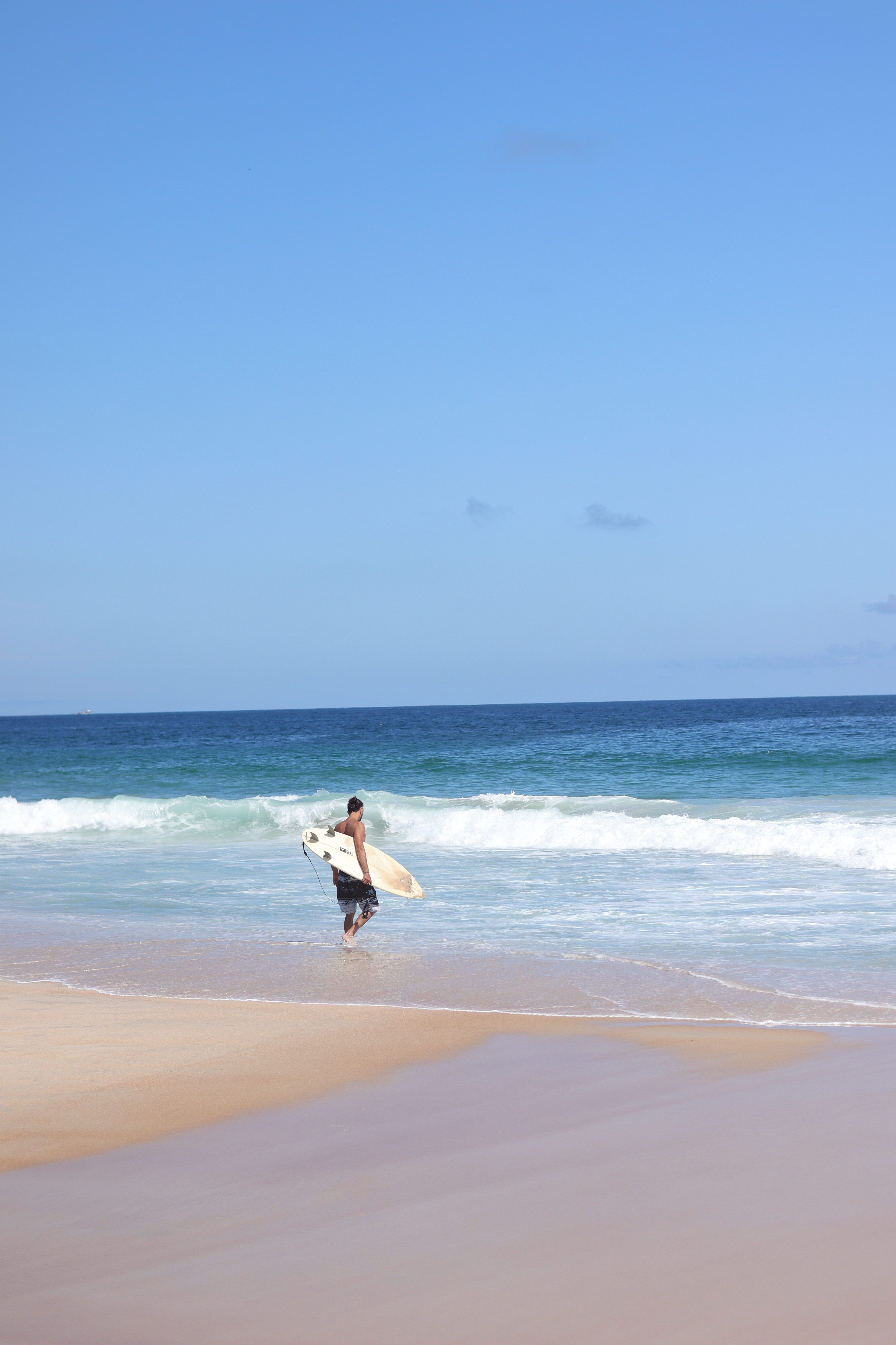 Women Holding Surfing Desks on a Beach · Free Stock Photo