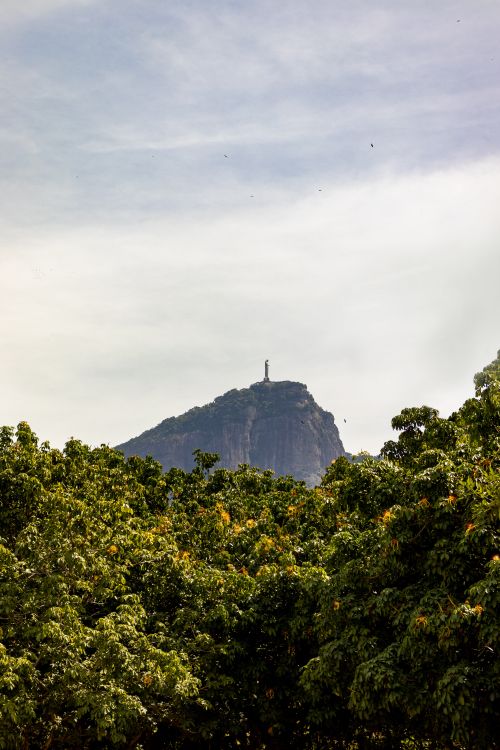 Free Breathtaking view of Christ the Redeemer from a lush landscape in Rio de Janeiro, Brazil. Stock Photo