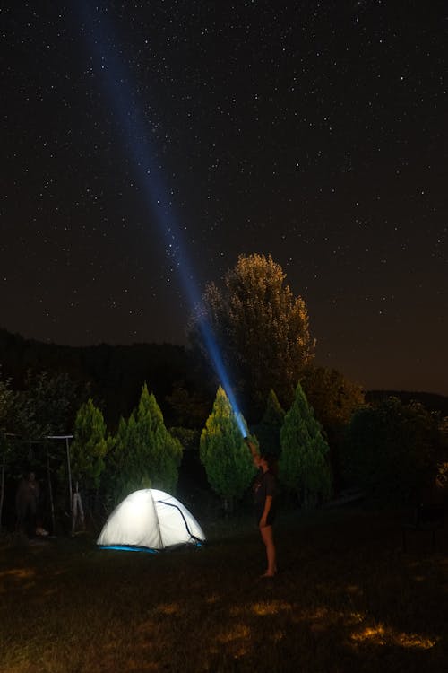 Fotos de stock gratuitas de acampada, arboles, astrología