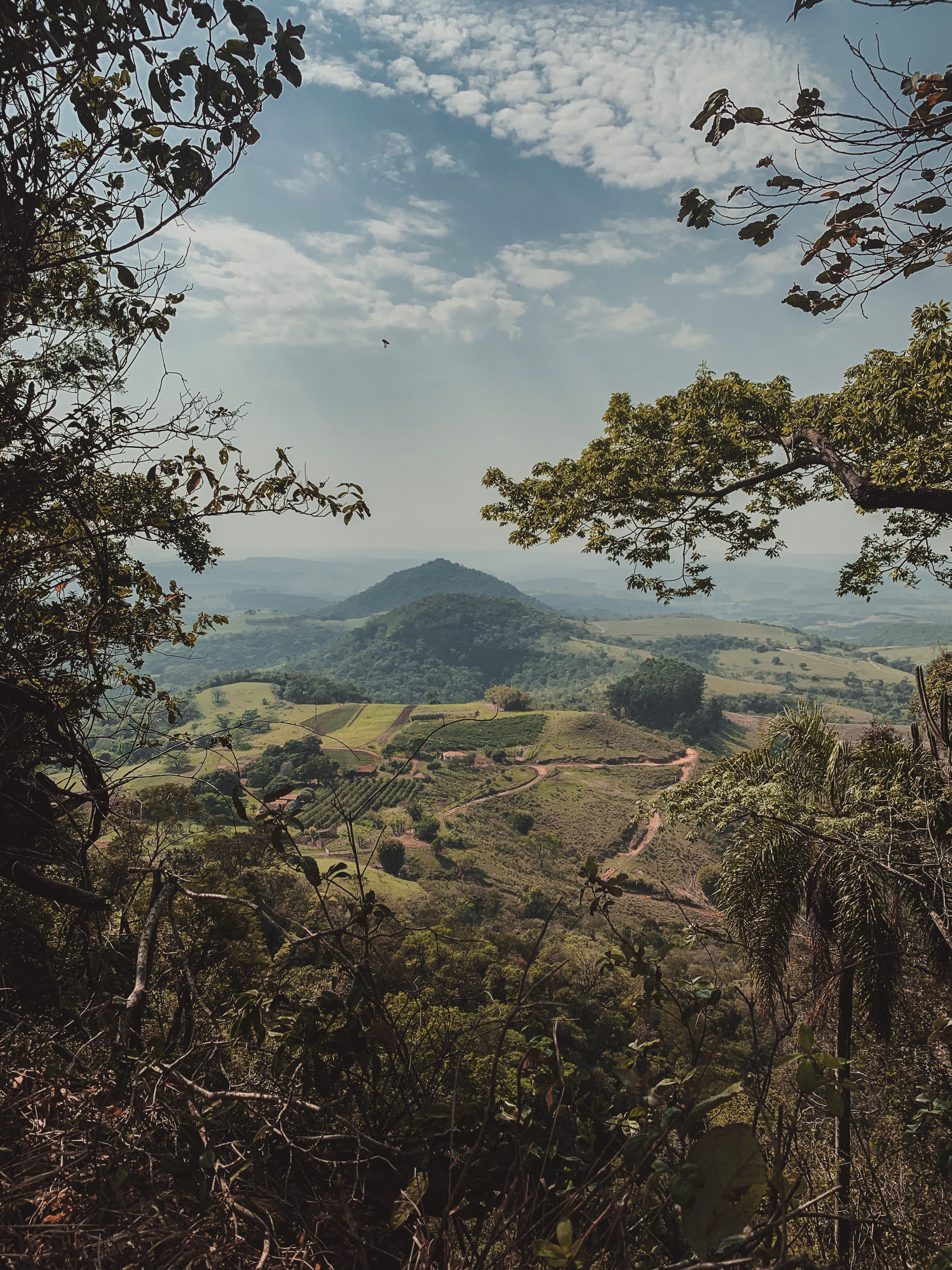 Scenic View of Green Hills and Croplands · Free Stock Photo