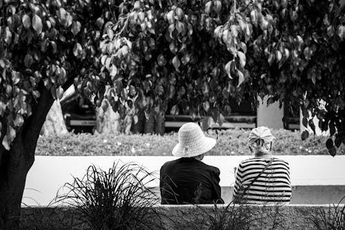 Black and White Photo of People Sitting in Park under Tree