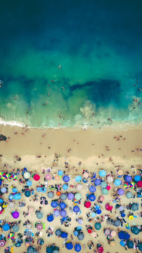 Top View of People and Beach Umbrellas on a Beach 