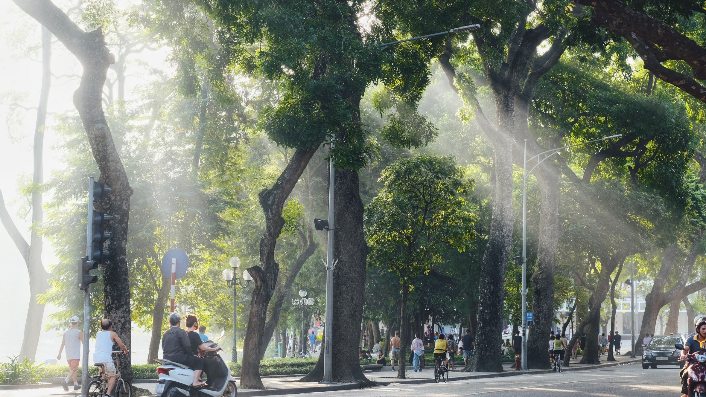 Morning sunlight filters through trees on a vibrant street in Hoàn Kiếm, Hanoi, capturing urban life and travel.