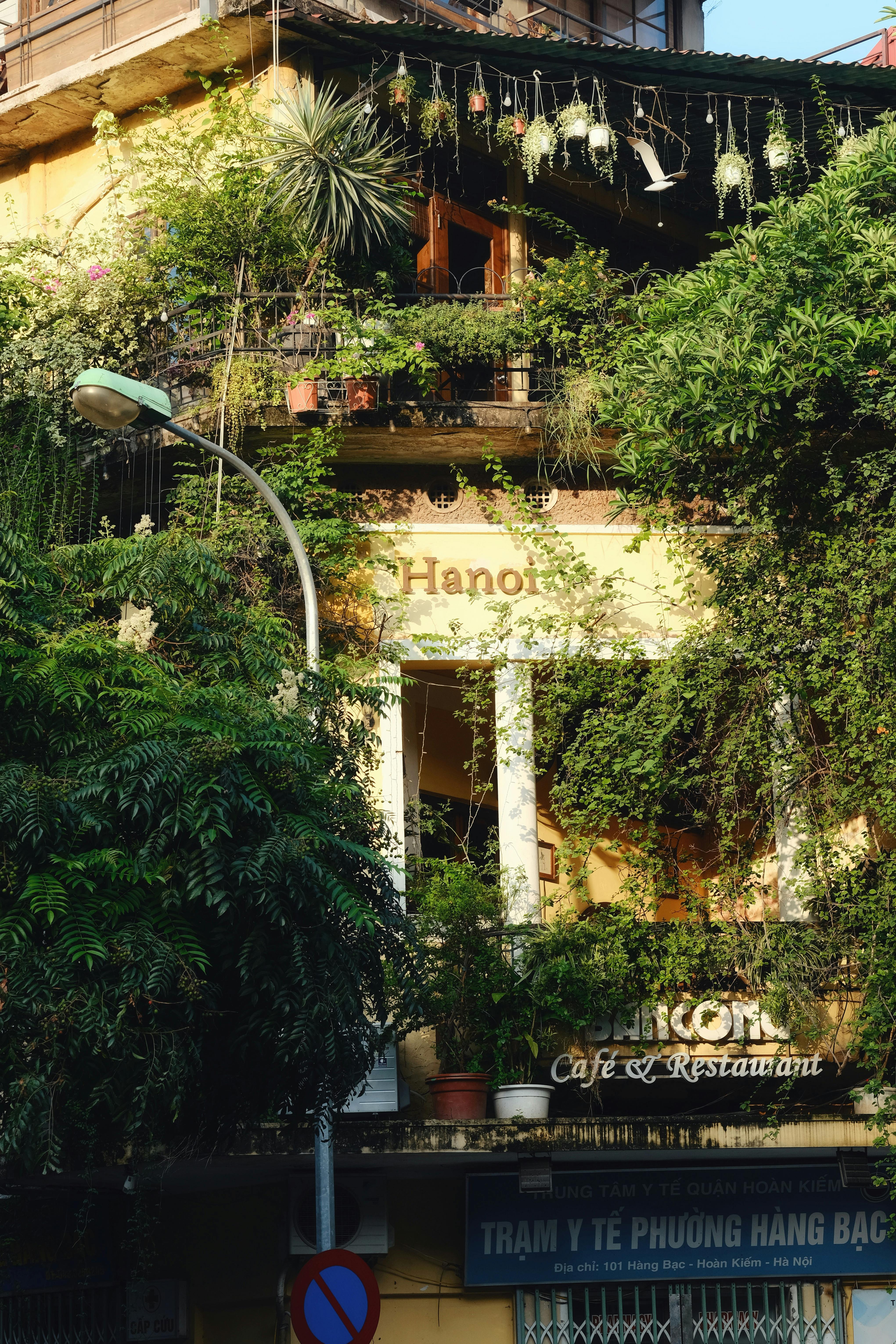 Charming cafe in Hanoi covered with lush greenery, offering a serene urban escape.