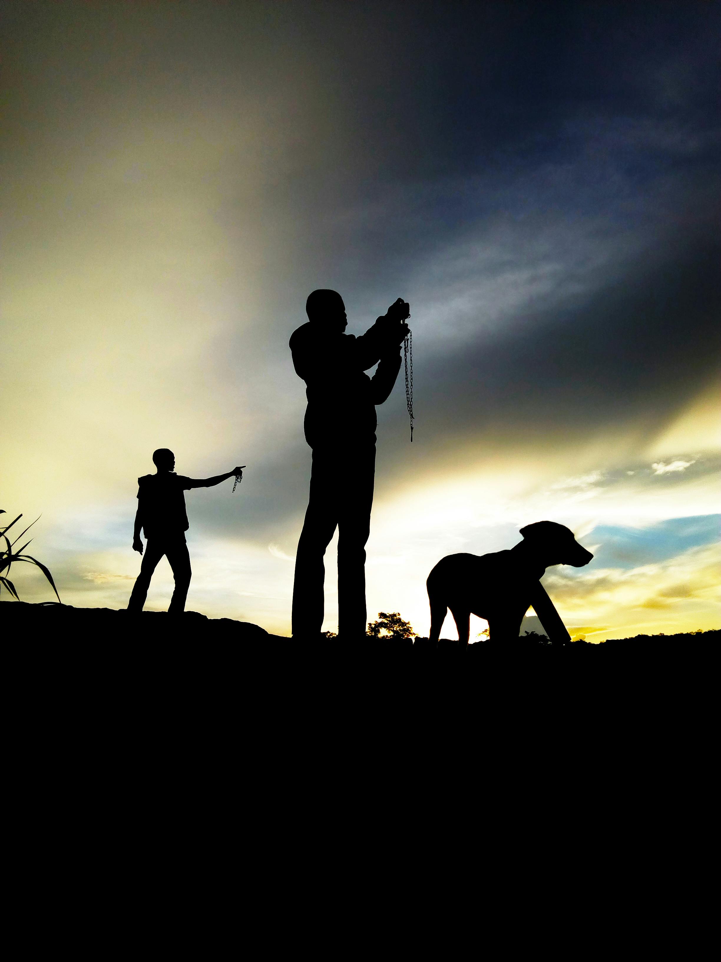 Free stock photo of dog, setting sun, Sihoutte of 2 boys and a dog