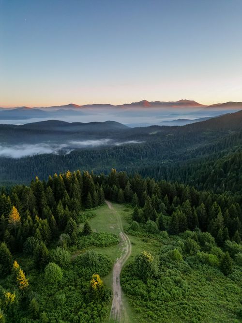 Free Breathtaking aerial view of lush forested mountains in Yavuzkemal, Giresun, Türkiye during sunset. Stock Photo