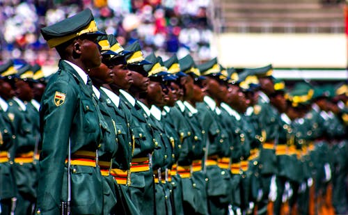 Zimbabwe Defence Forces