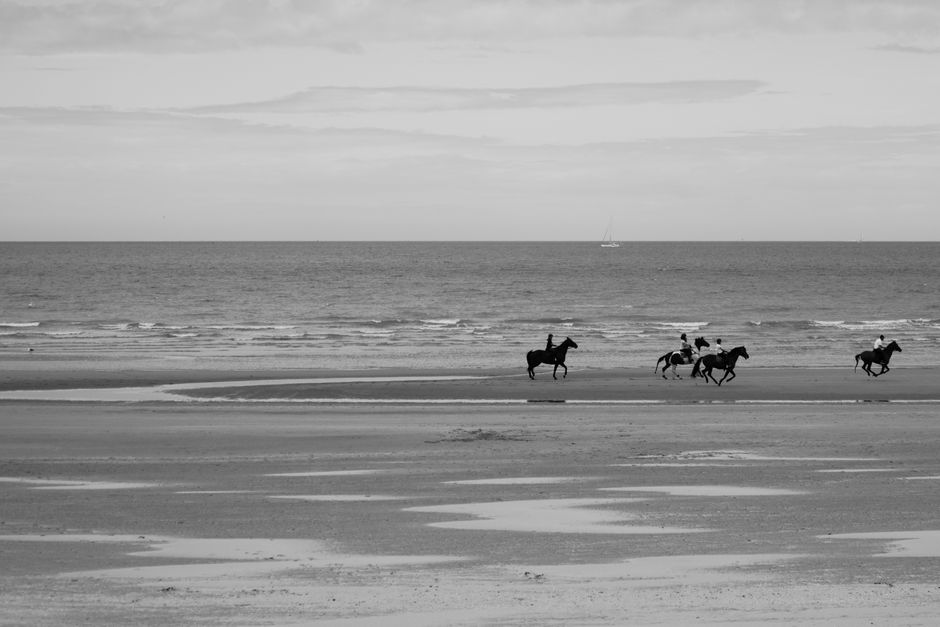 Horses riding along the serene coastline in a black and white landscape on a quiet beach.