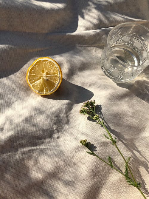 Free A Half of a Lemon, a Flower and a Glass of Water Standing on a Cloth in Sunlight Stock Photo