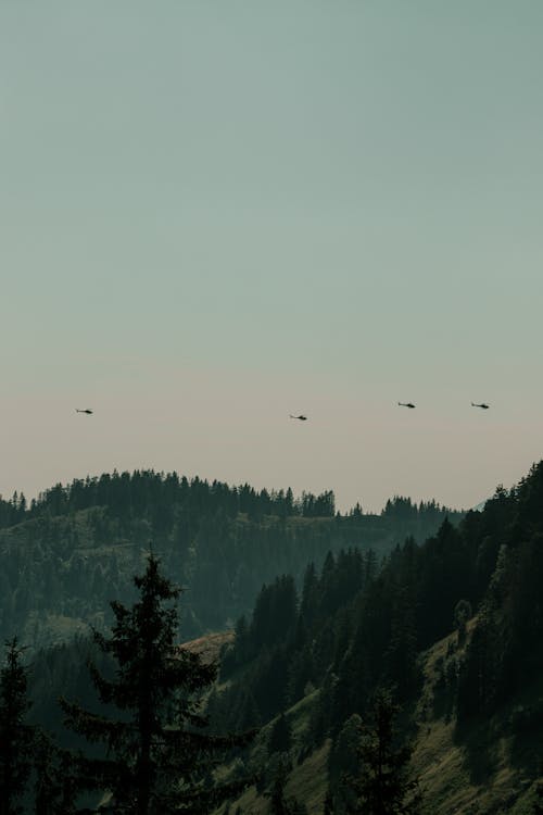 구조 헬기, 산 풍경, 숲의 무료 스톡 사진