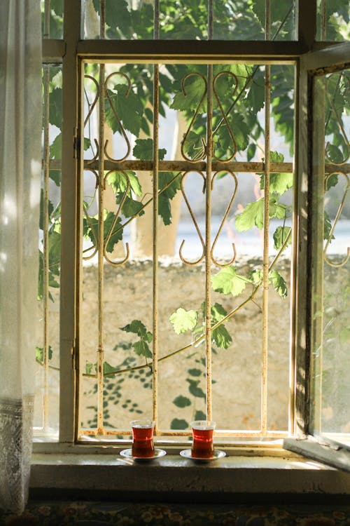 Free Tea Glasses on Windowsill Stock Photo