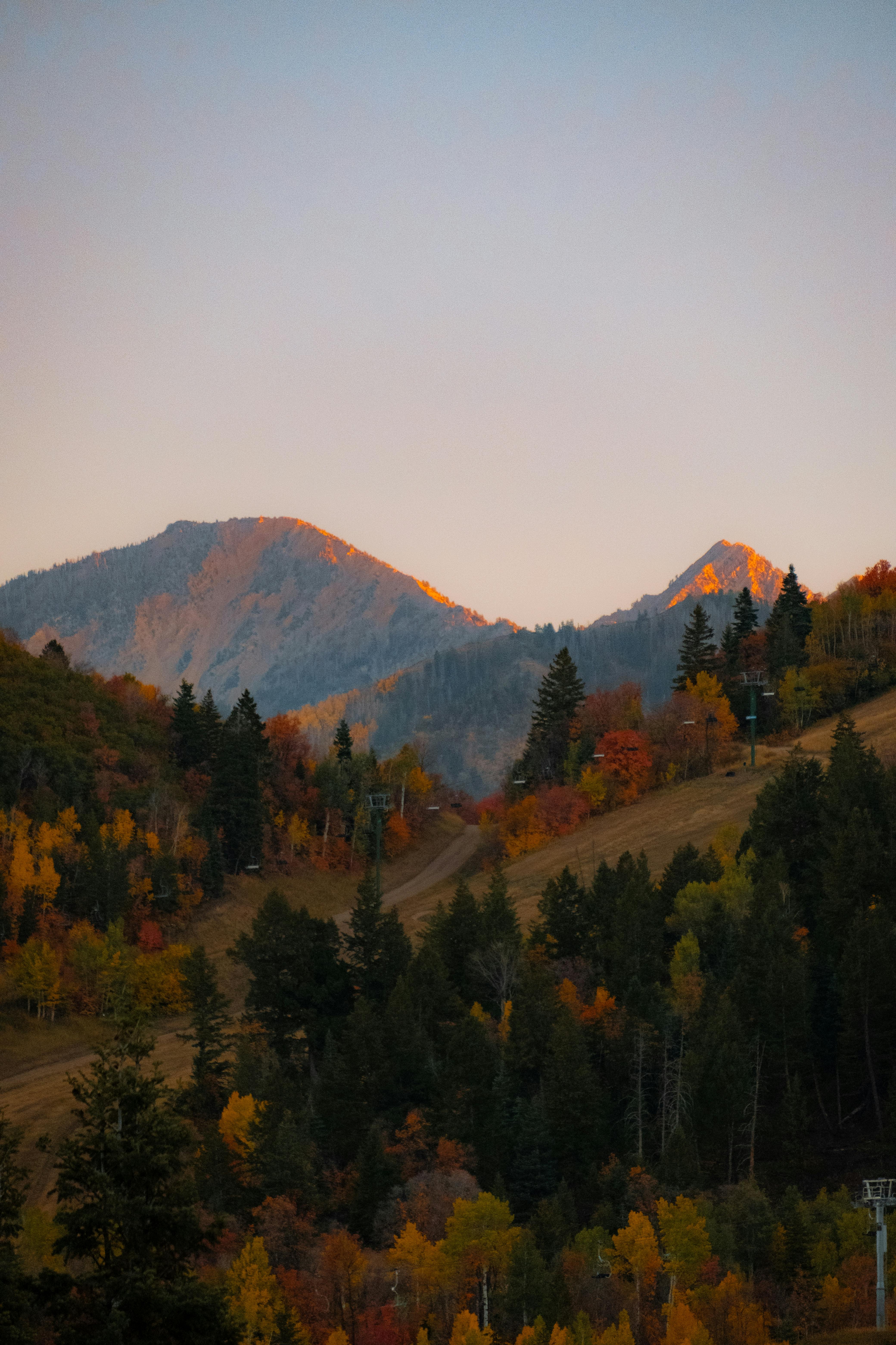 Explore the vibrant autumn colors of a mountainous forest landscape captured during sunset.