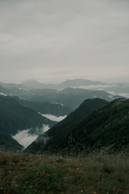 경치, 농촌의, 산의 무료 스톡 사진