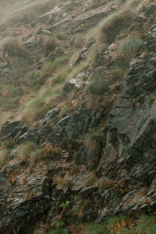 Free A rugged hillside covered with rocks and grass, shrouded in mist, conveying a natural and serene ambiance. Stock Photo