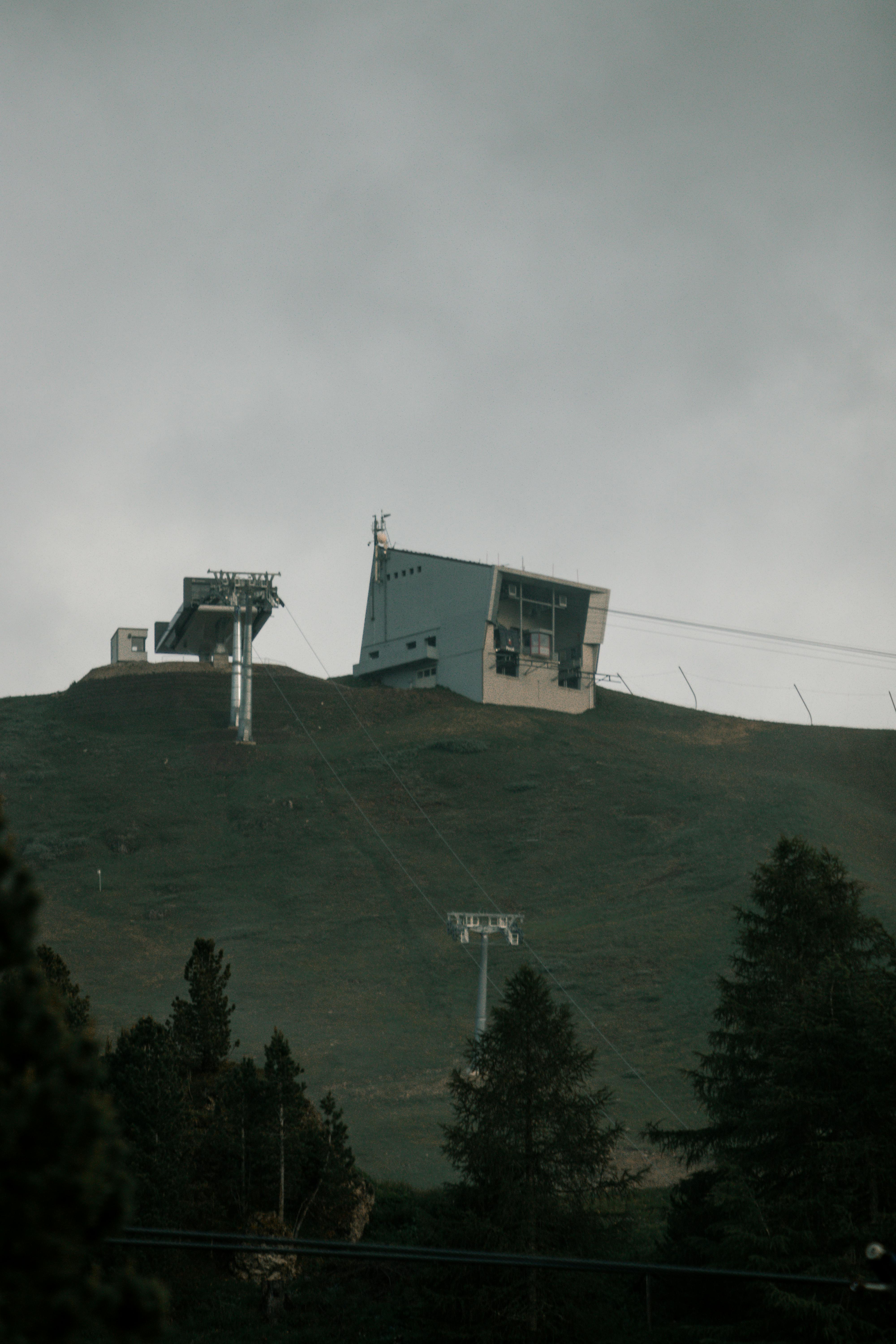 Bosco Photos, Download The BEST Free Bosco Stock Photos & HD Images