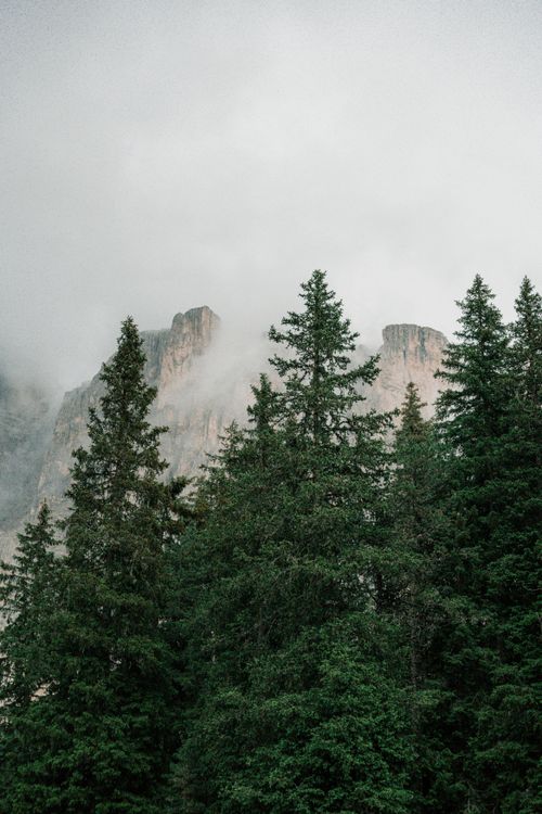 Free Foggy trees and mountains create a serene landscape in Cortina d'Ampezzo, Italy. Stock Photo