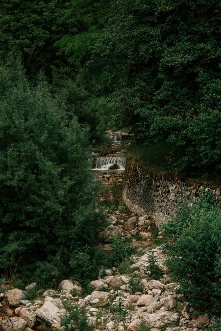 A serene forest stream flows over rocks, surrounded by lush greenery and stone walls.