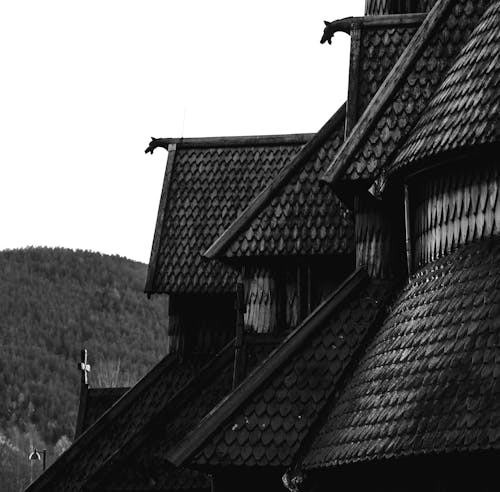 Tiles on Church Roof in Black and White