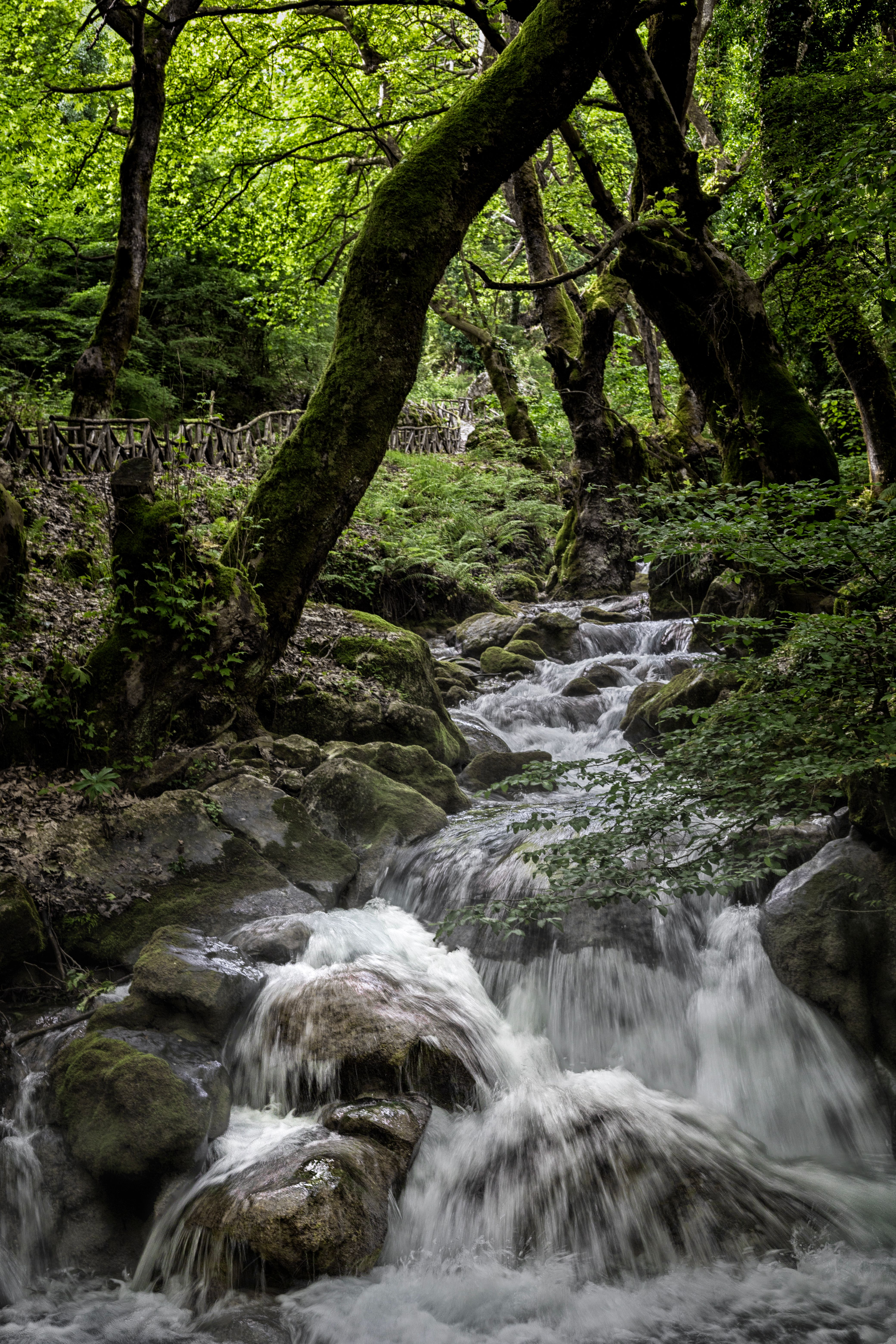 Flowing River Photos, Download The BEST Free Flowing River Stock Photos ...