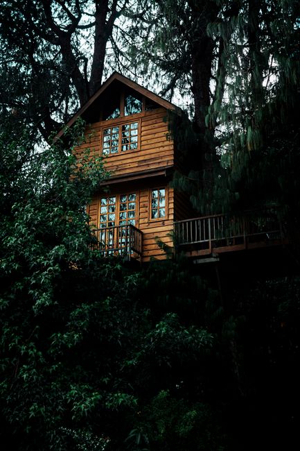 A cozy wooden house nestled in the dense green forest of Campos do Jordão, Brazil.