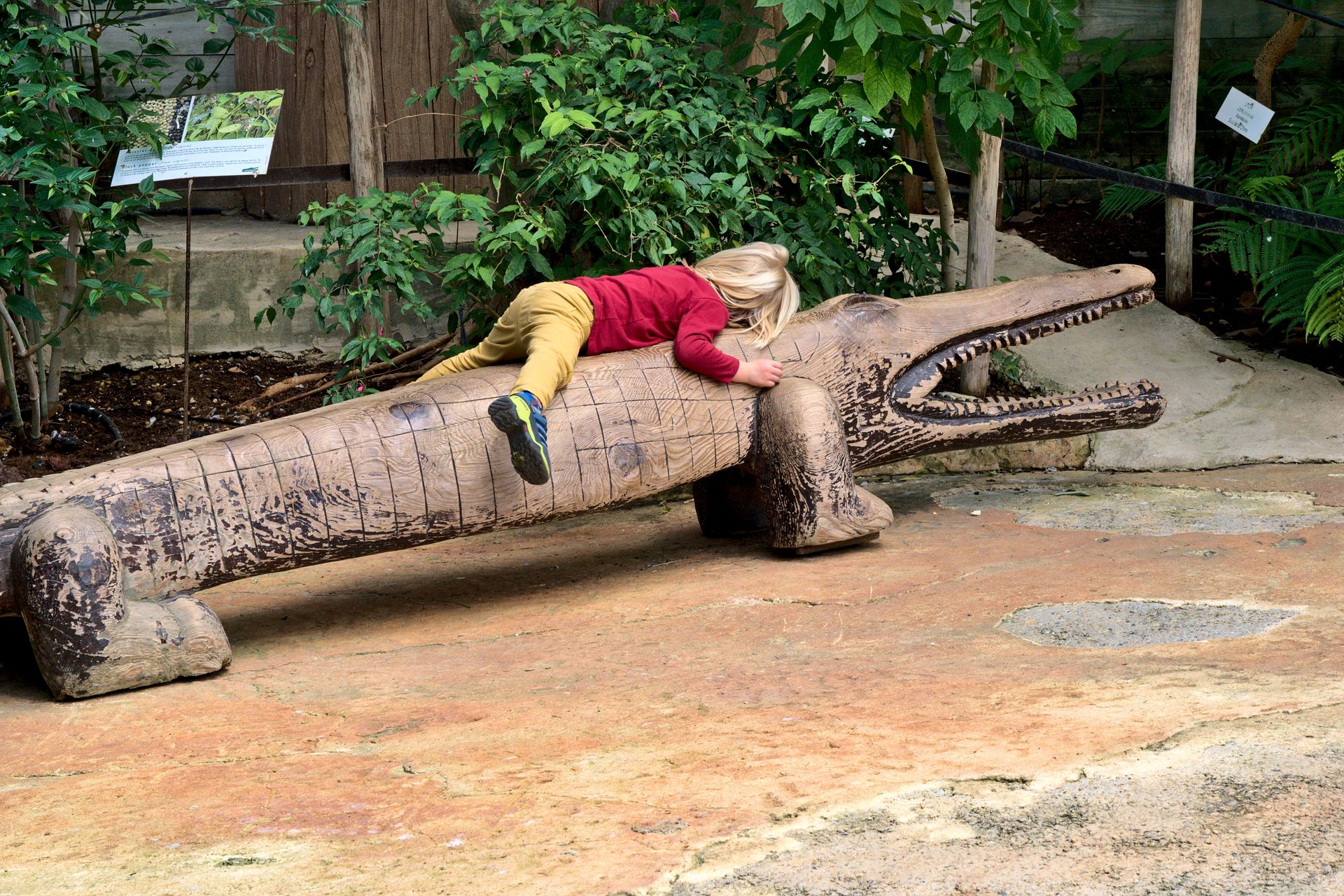 Girl Lying on Wooden Crocodile Sculpture