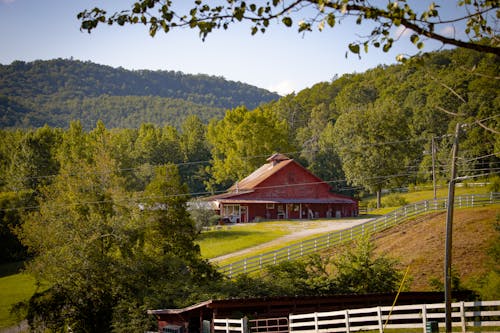 Barn Building in Countryside