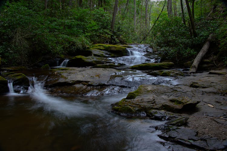 A Rocky Stream In The Forest 