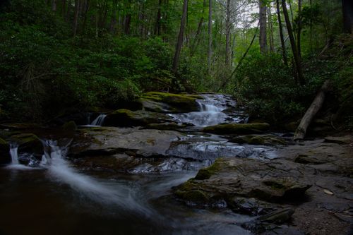Free Tranquil forest stream cascading over mossy rocks amidst lush greenery creating a peaceful scene. Stock Photo
