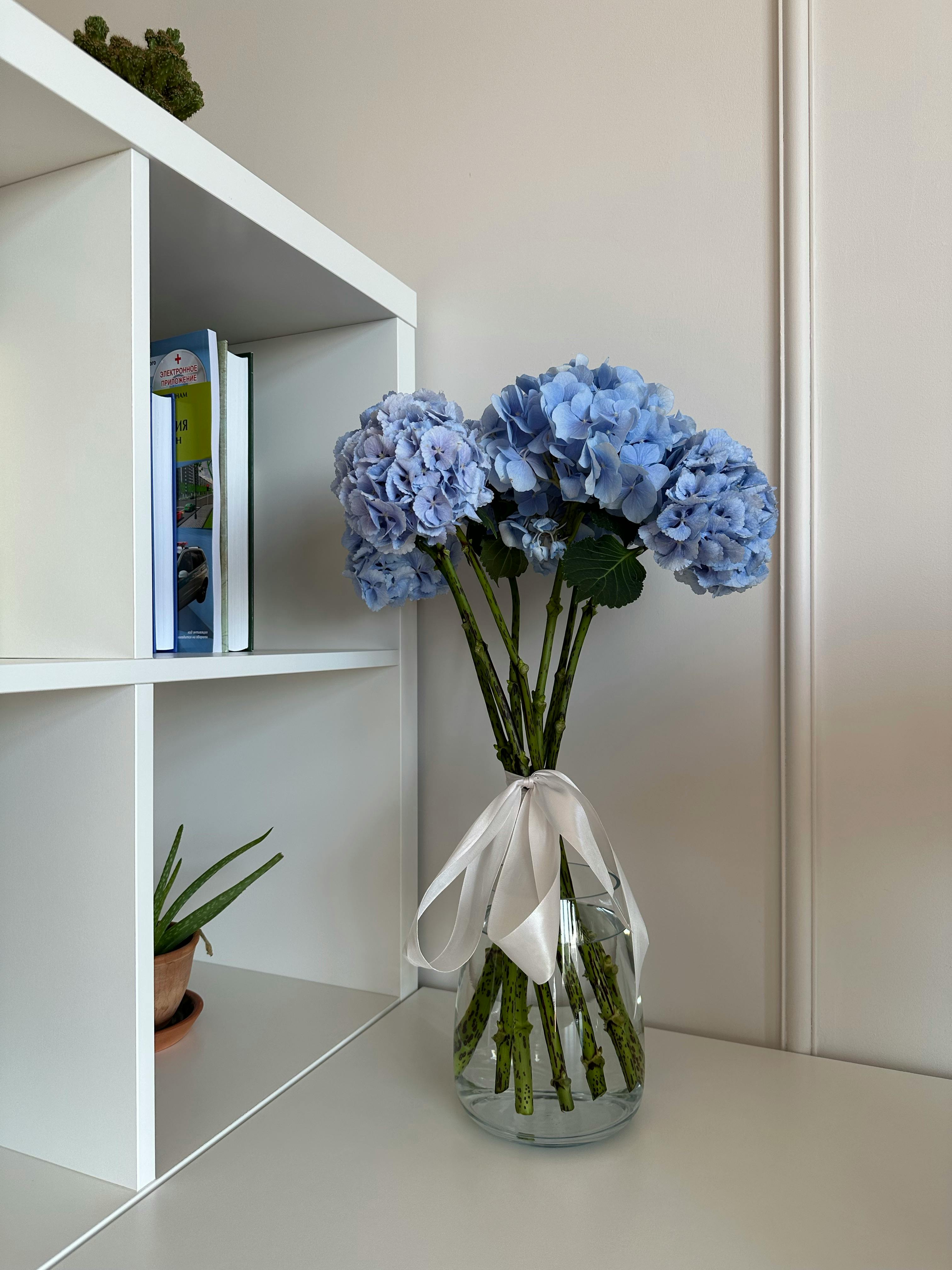 Vase with Flowers near White Wall and Shelves · Free Stock Photo
