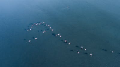 Bitcoin ETFs See $349M Outflow as Whales Dump Amid Price Dip