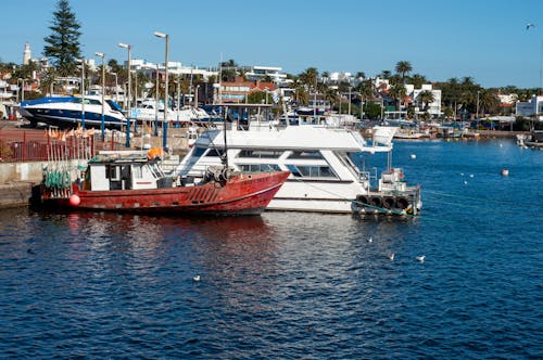 Motorboats Moored in Town