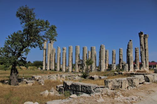 Foto d'estoc gratuïta de blocs de pedra, boixeta, cita