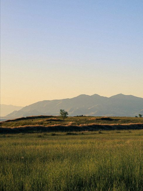 Peaceful meadow landscape with mountains in the background during sunset.