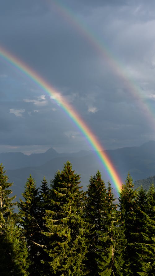 Rainbow Photos, Download The BEST Free Rainbow Stock Photos & HD Images